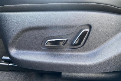 BYD Dolphin Design