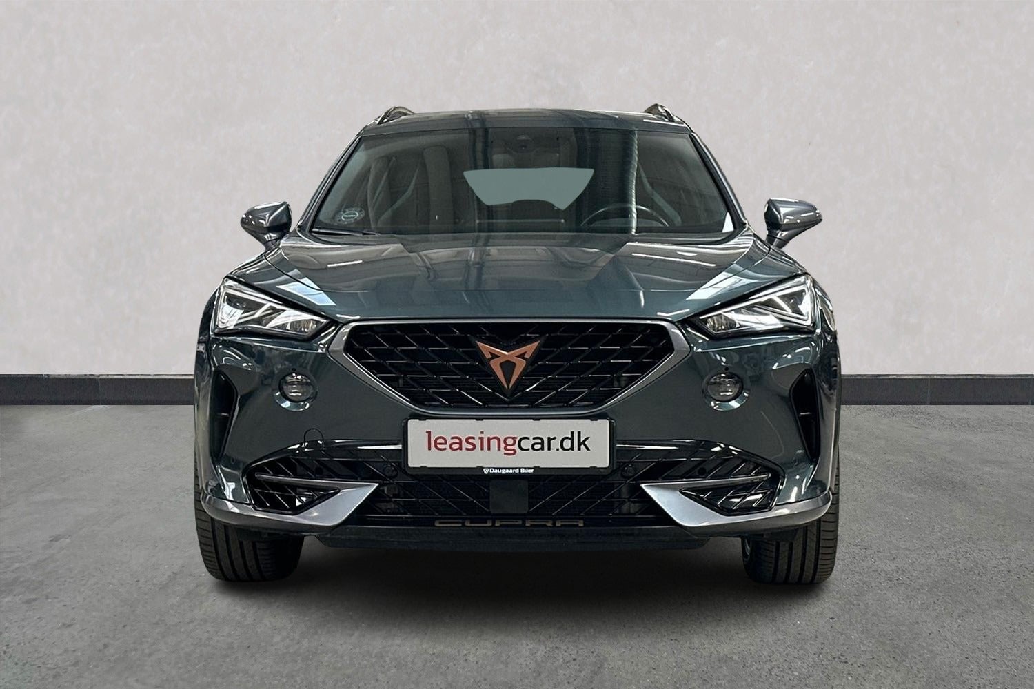 Billede af Seat Formentor 2,0 TSi 310 Cupra DSG 4Drive