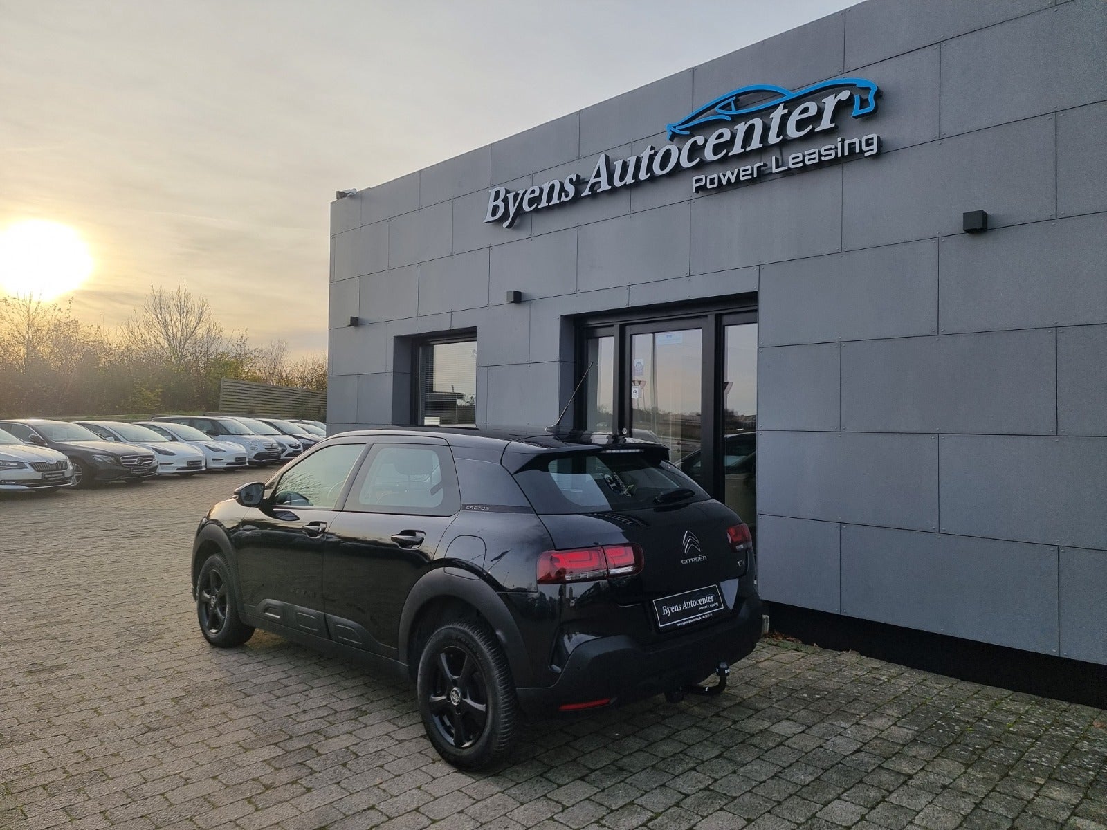 Citroën C4 Cactus 2019