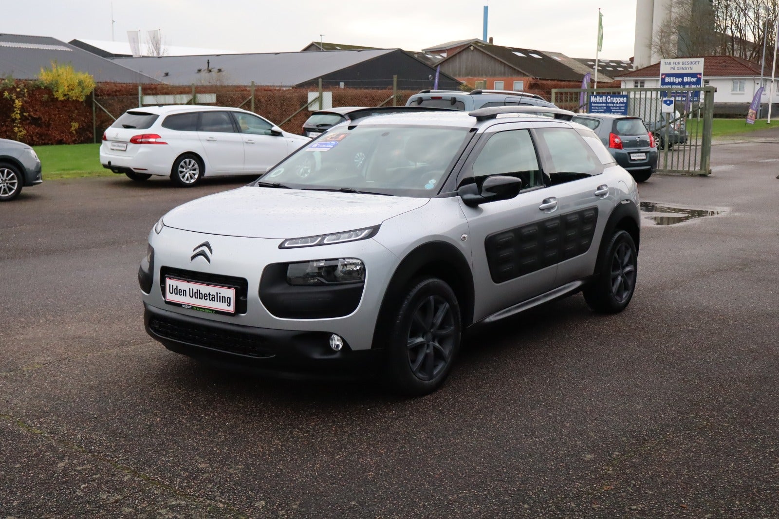 Billede af Citroën C4 Cactus 1,2 PureTech 110 Shine