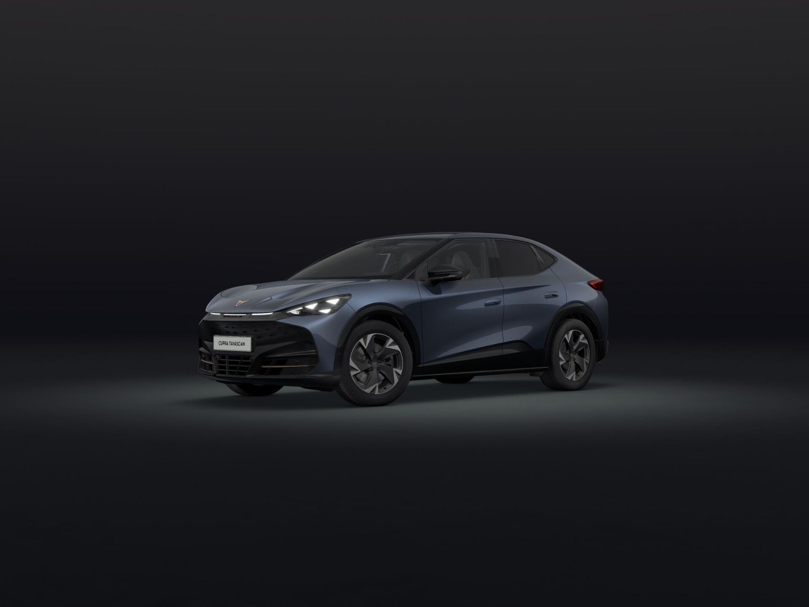 Cupra Tavascan Endurance