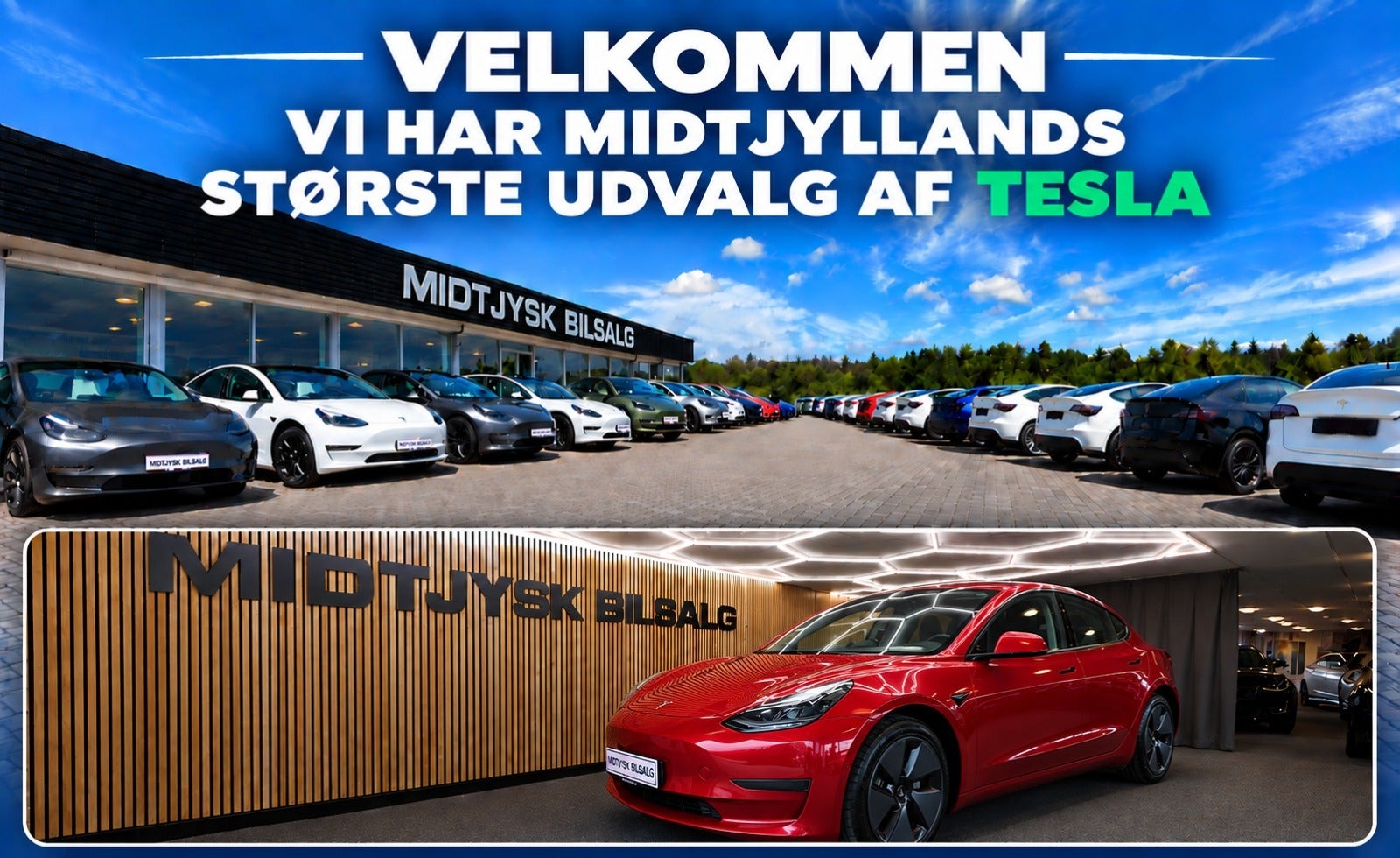 Tesla Model 3, Billede 1