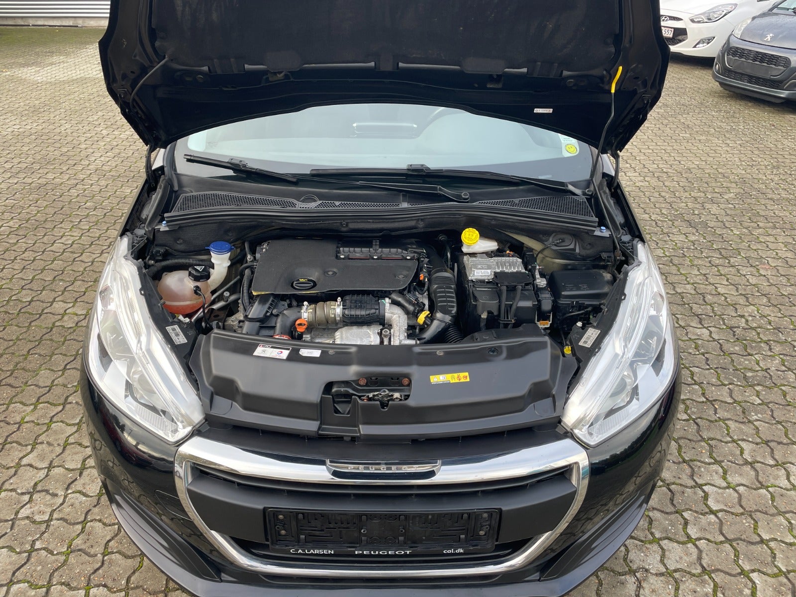 Peugeot 208 BlueHDi 100 Envy Sky