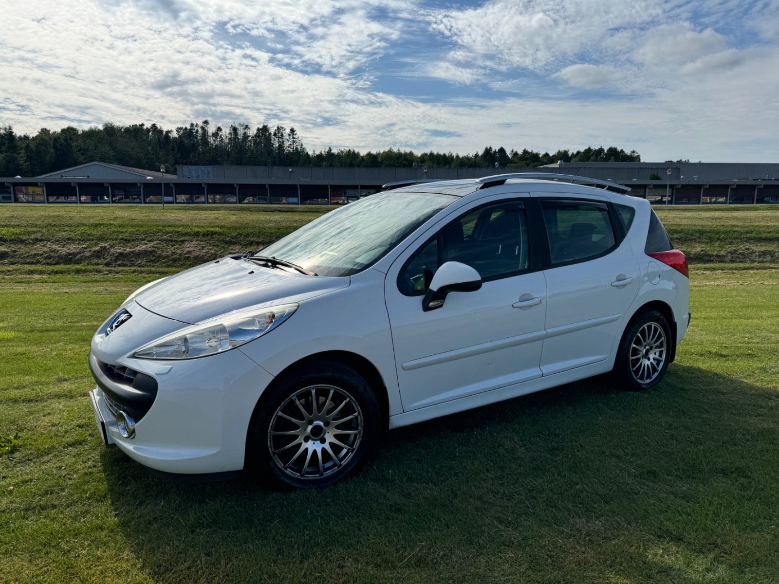 Peugeot 207 2009