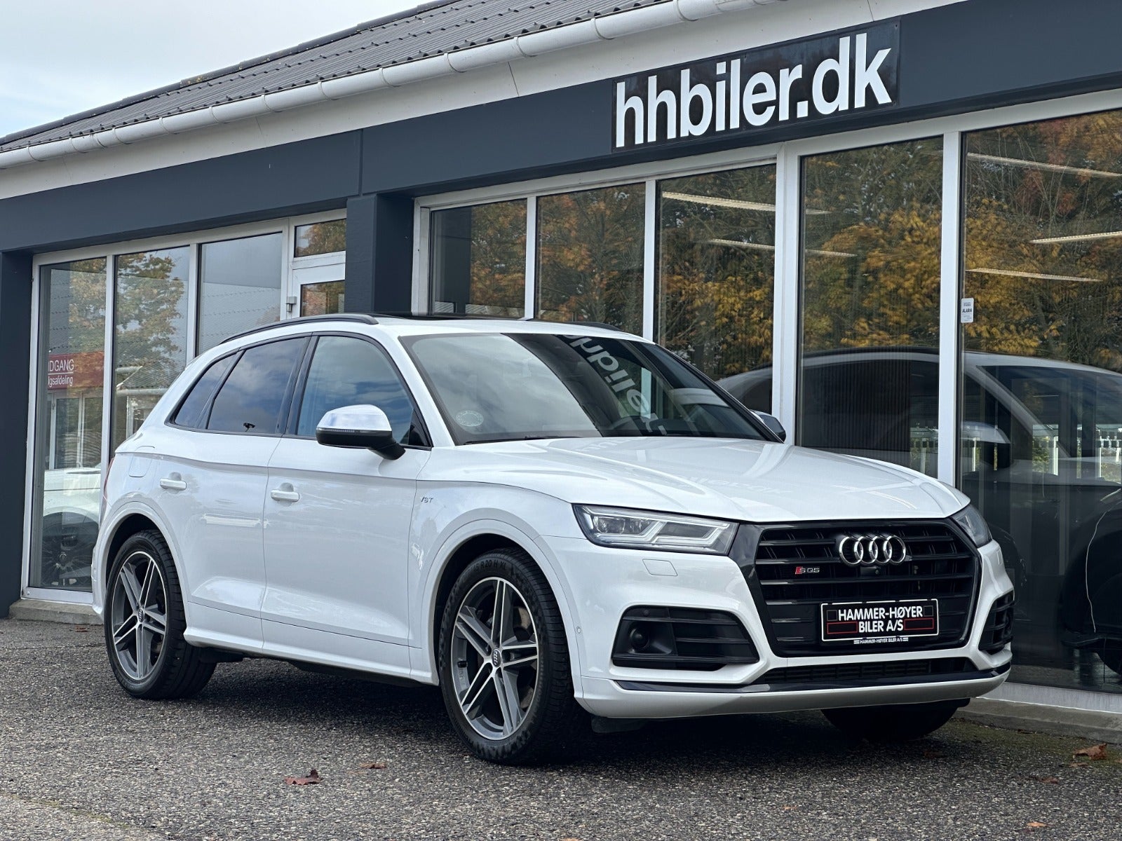 Audi SQ5 2017