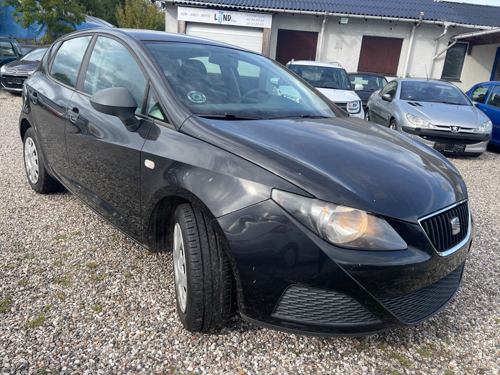 Seat Ibiza 2010