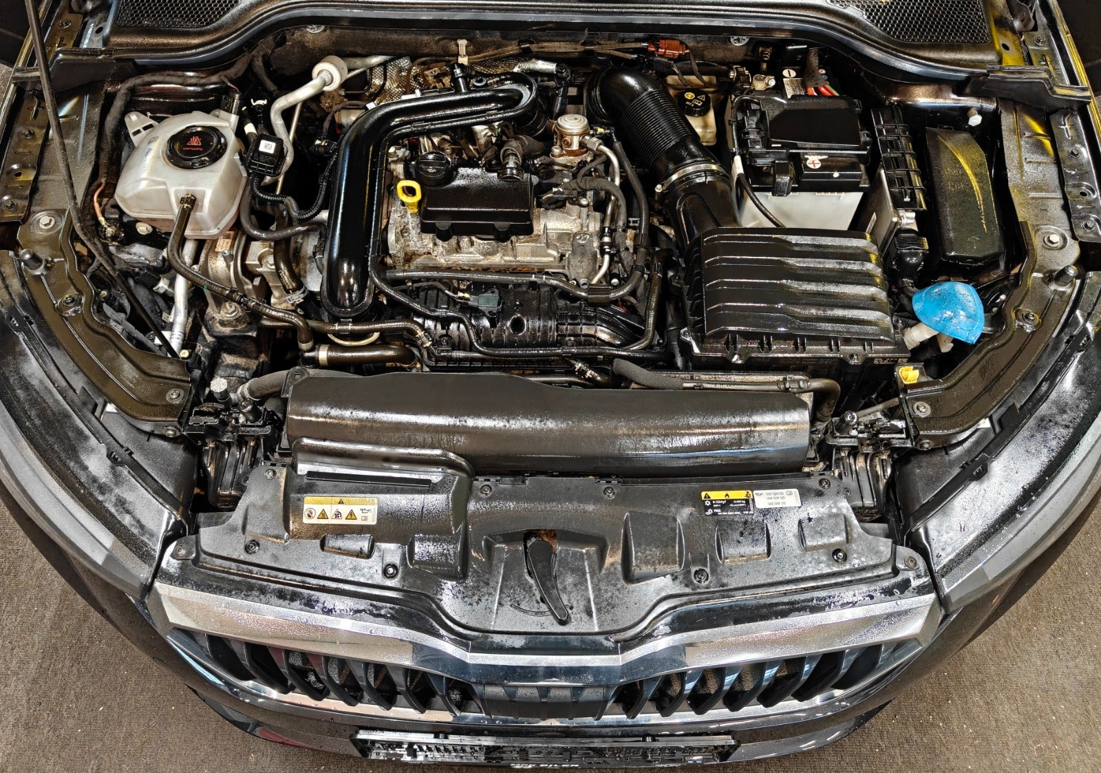 Billede af Skoda Scala 1,0 TSi 110 Dynamic DSG