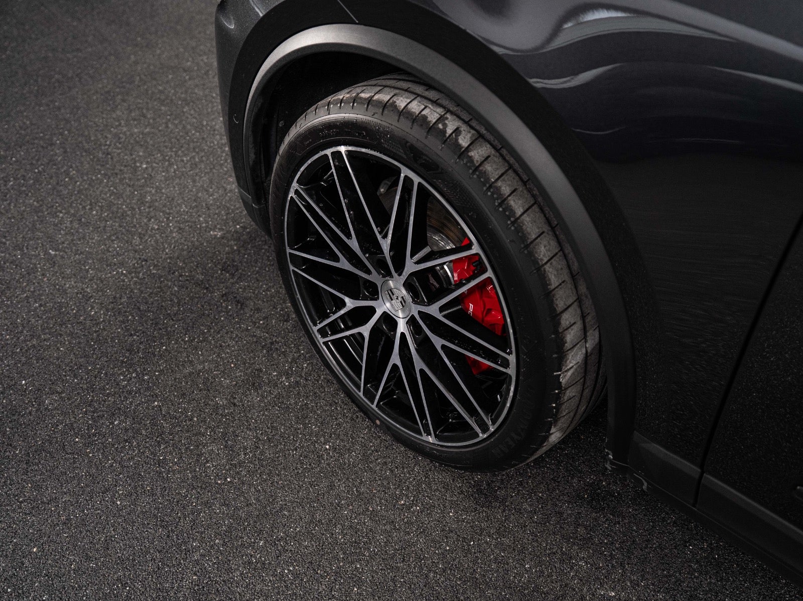 Gallery image 7 of 15