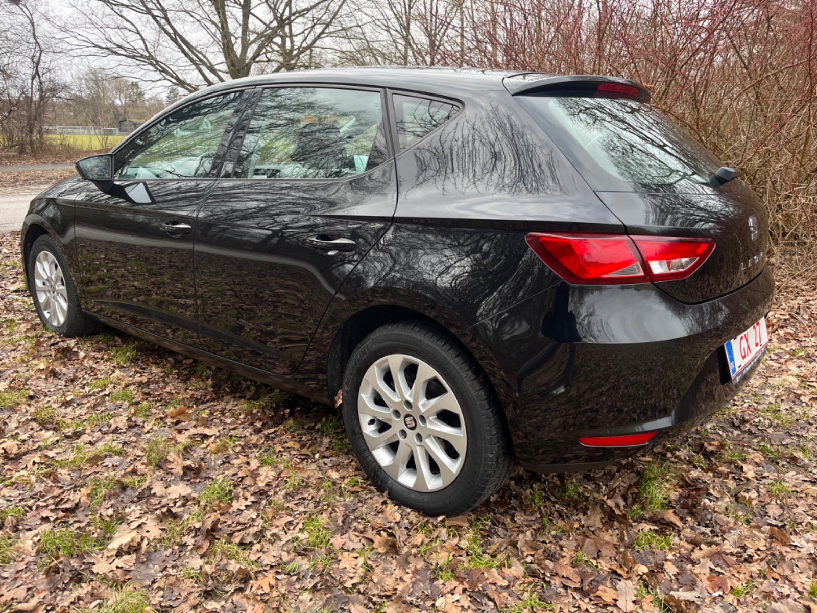 Seat Leon 2013