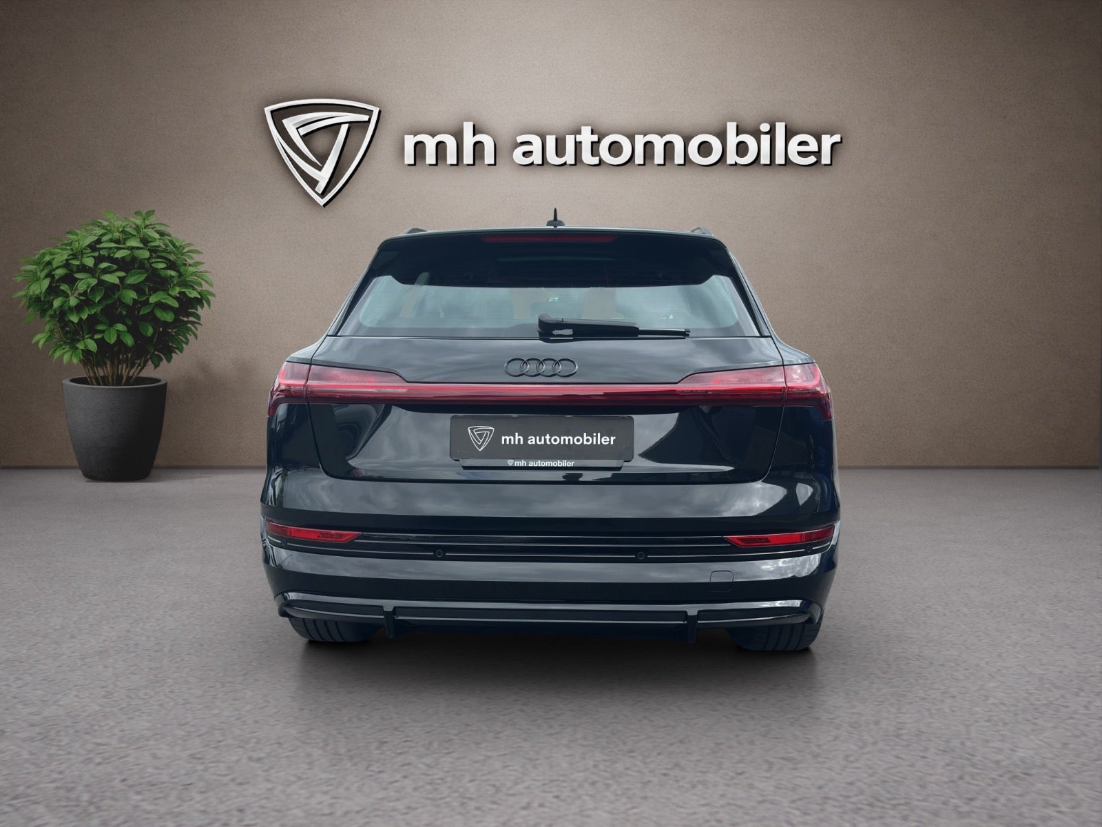 Billede af Audi e-tron 55 S-line quattro