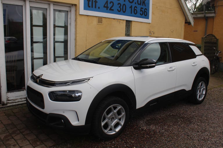 Citroën C4 Cactus PureTech 110 SkyLine Van