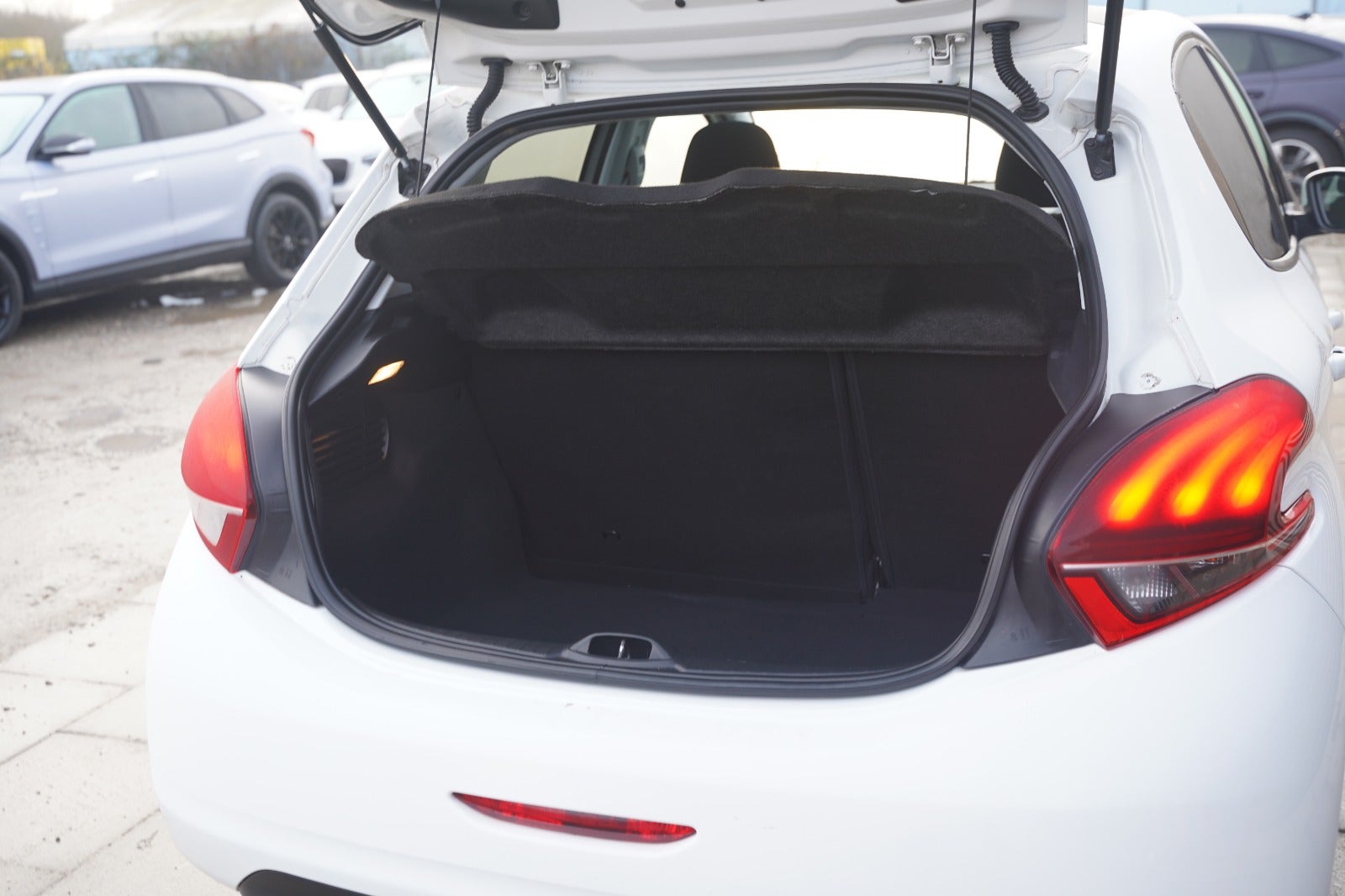 Billede af Peugeot 208 1,6 BlueHDi 100 Envy Sky