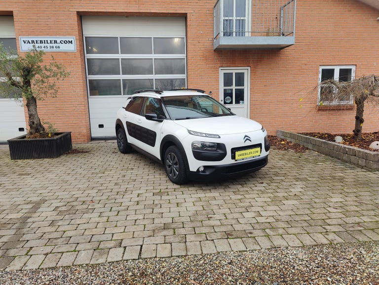 Citroën C4 Cactus BlueHDi 100 Feel Van