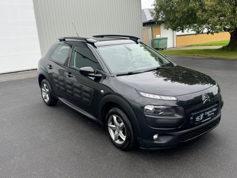 Citroën C4 Cactus BlueHDi 100 Challenge