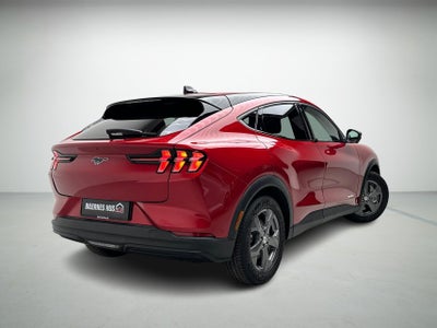 Ford Mustang Mach-E Premium Standard Range billede 1