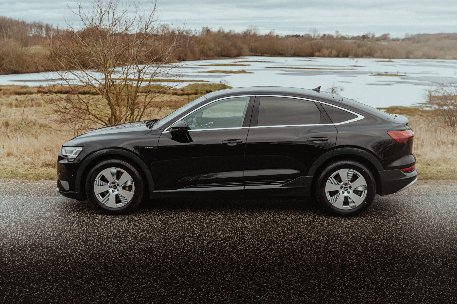 Billede af Audi e-tron 50 Advanced Prestige Sportback quattro