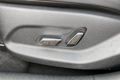 BYD Dolphin Design