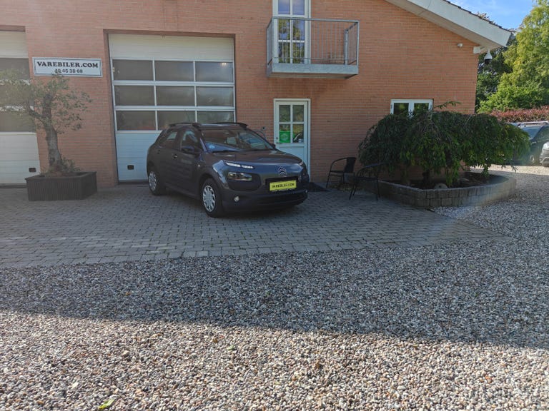 Citroën C4 Cactus BlueHDi 100 Feel Van