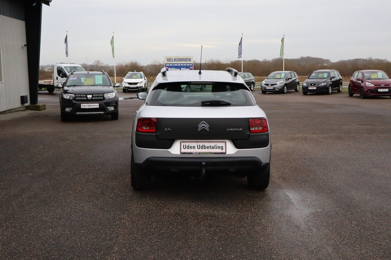 Billede af Citroën C4 Cactus 1,2 PureTech 110 Shine