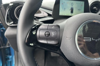 BYD Dolphin Design
