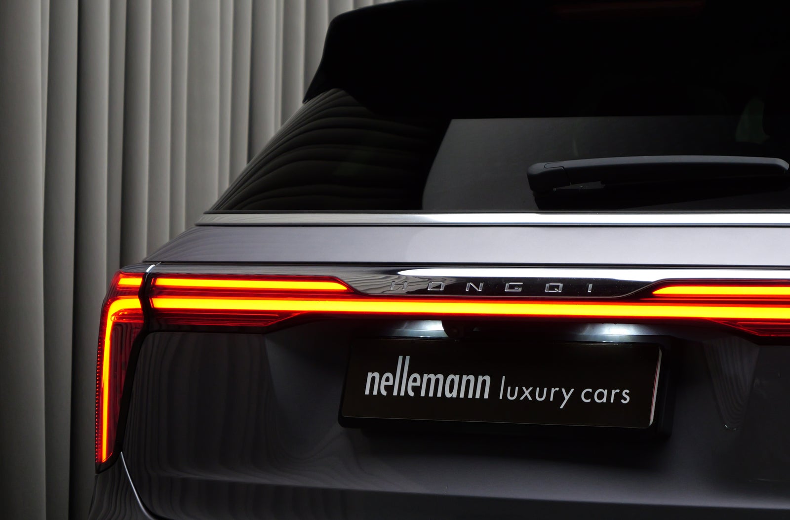 Hongqi E-HS9 Exclusive