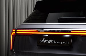 Hongqi E-HS9 Exclusive