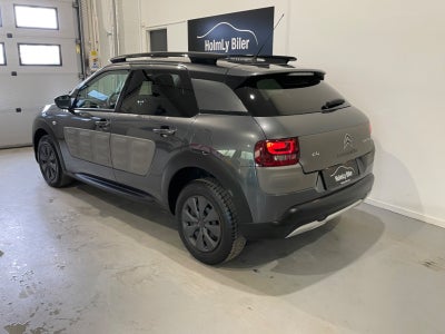 Citroën C4 Cactus BlueHDi 100 SkyLine