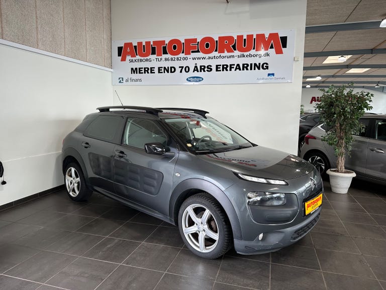 Citroën C4 Cactus BlueHDi 100 Feel Van
