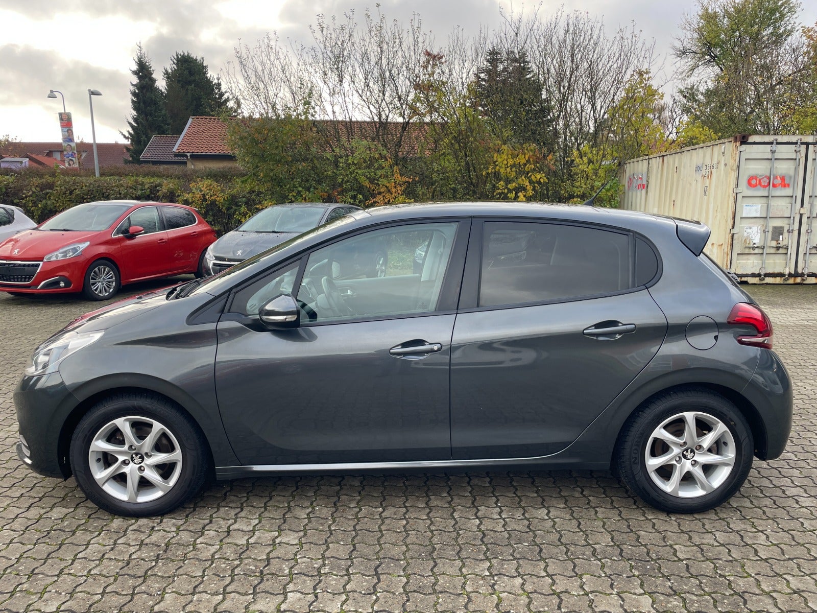 Peugeot 208 BlueHDi 100 Sky Winter Edition