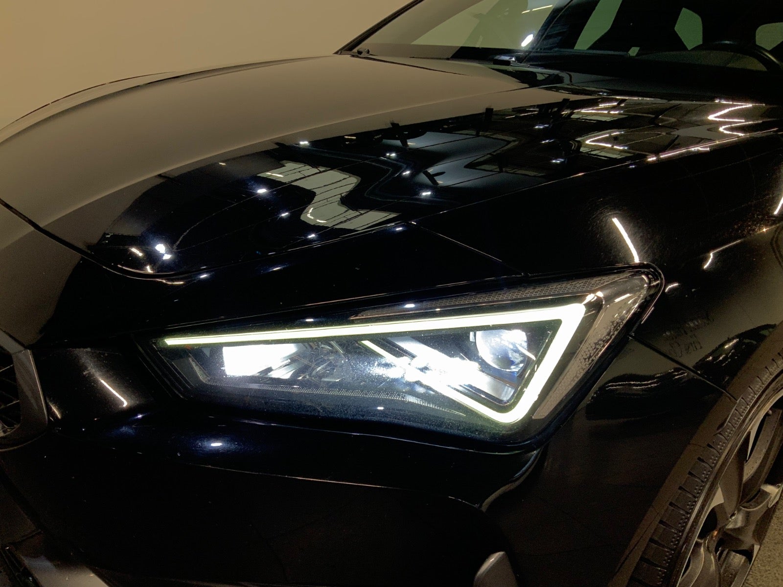 Seat Leon (3/8)