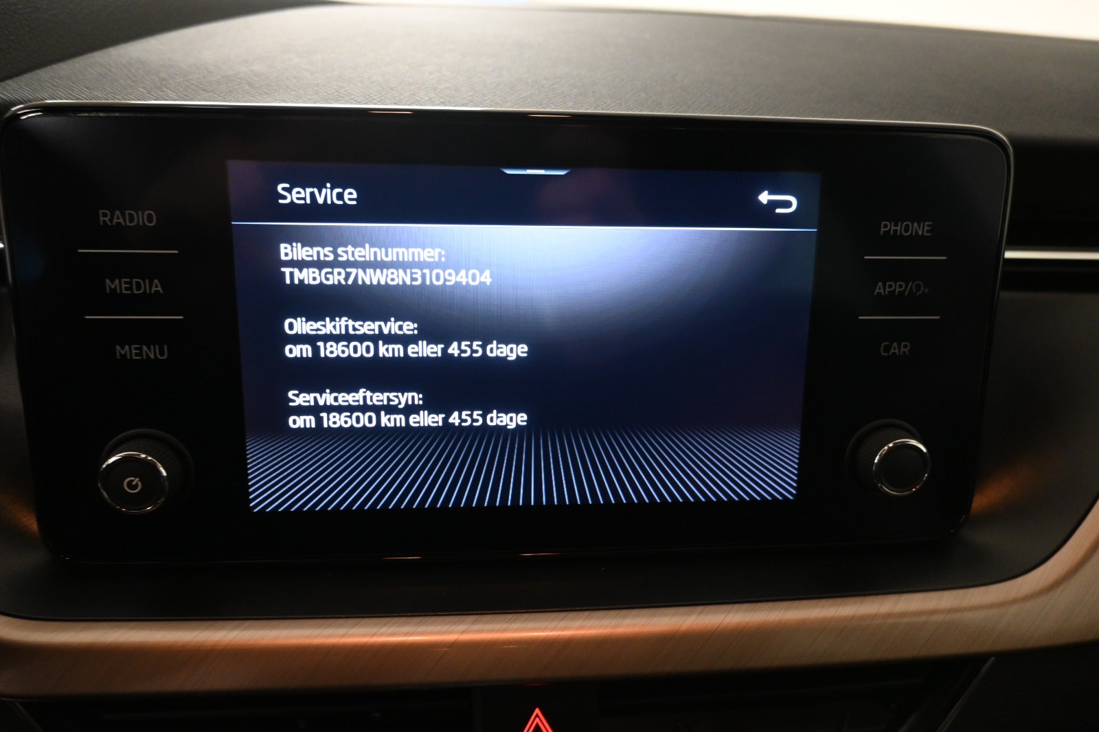 Skoda Kamiq TSi 110 Style DSG