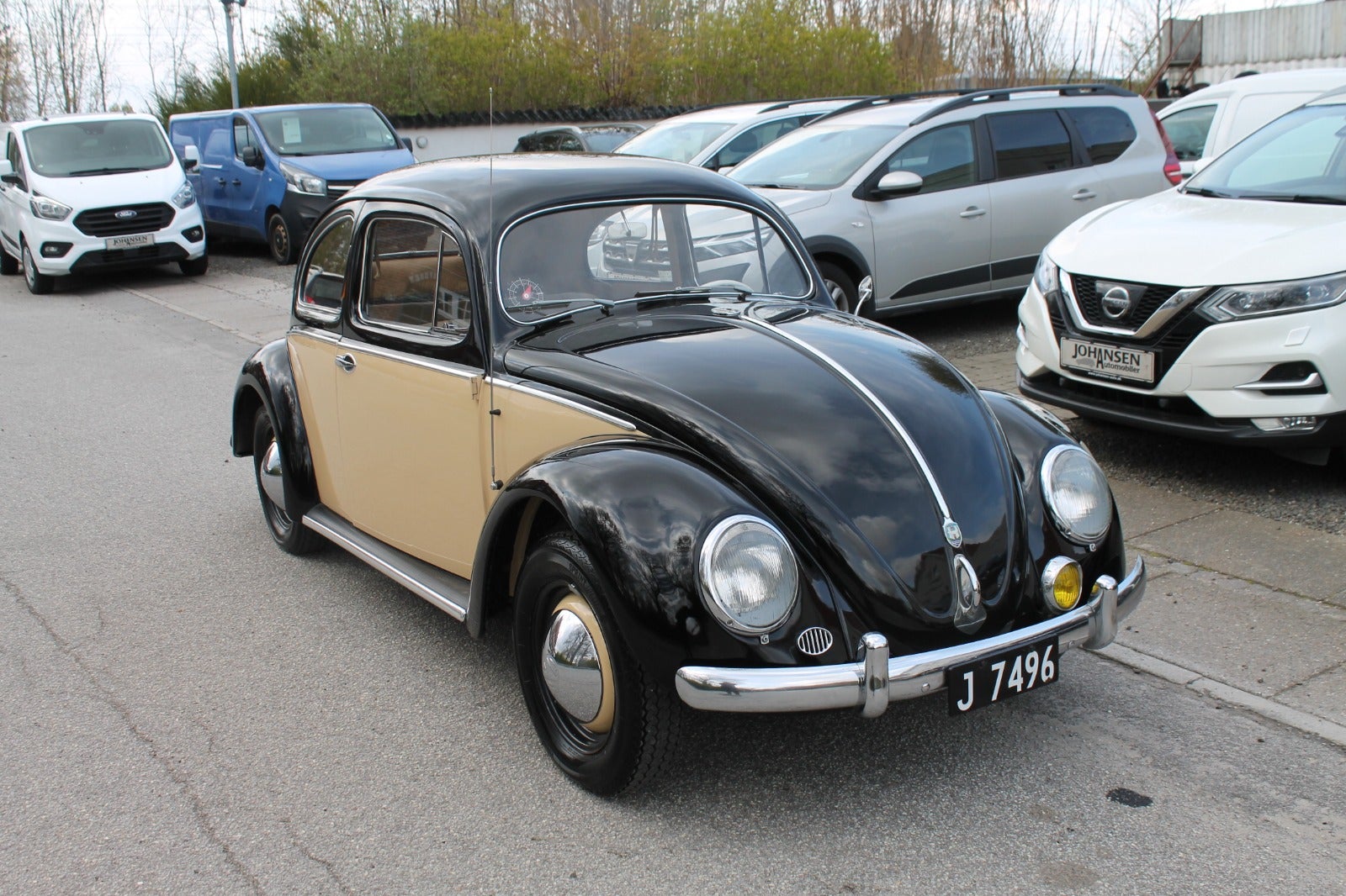 VW 1200 1955