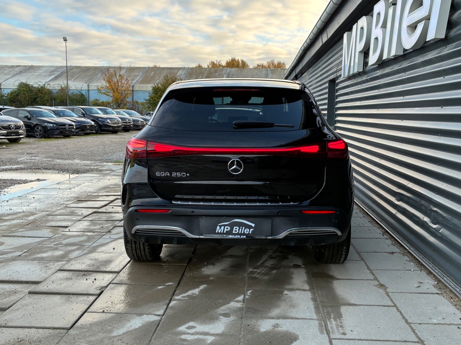 Billede af Mercedes EQA250+  AMG Line