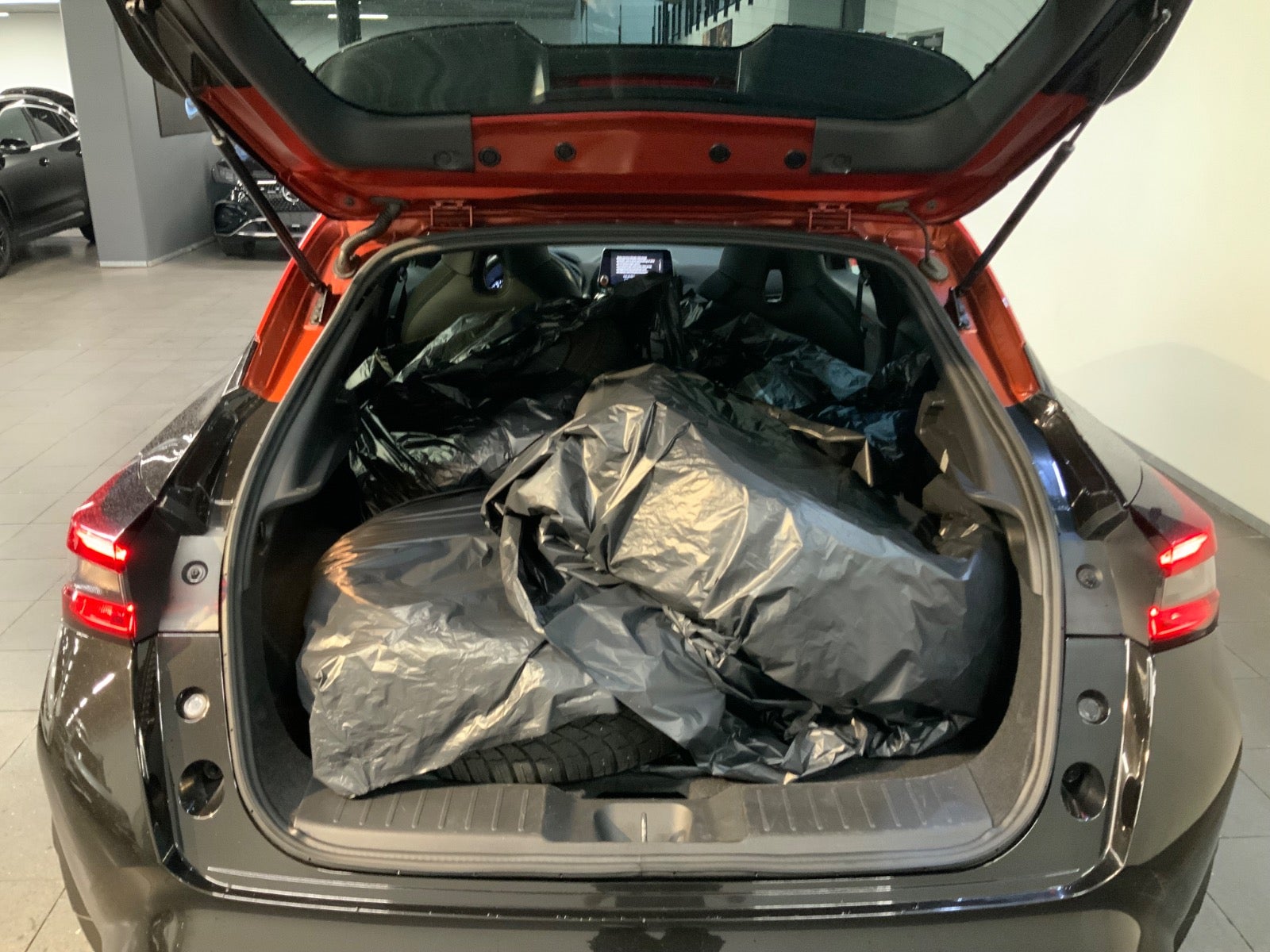Nissan Juke (5/8)