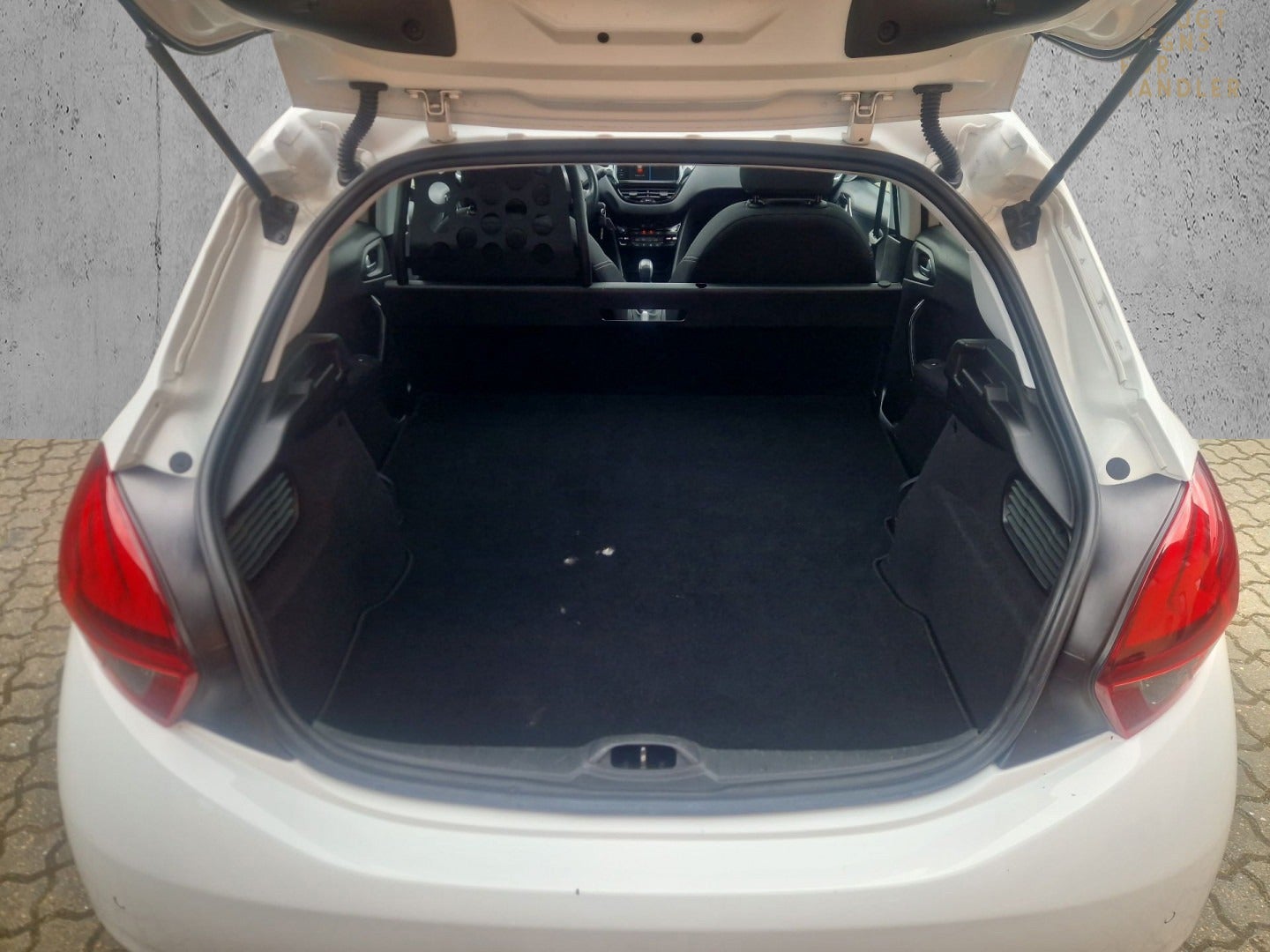 Billede af Peugeot 208 1,6 BlueHDi 100 Envy Sky Van