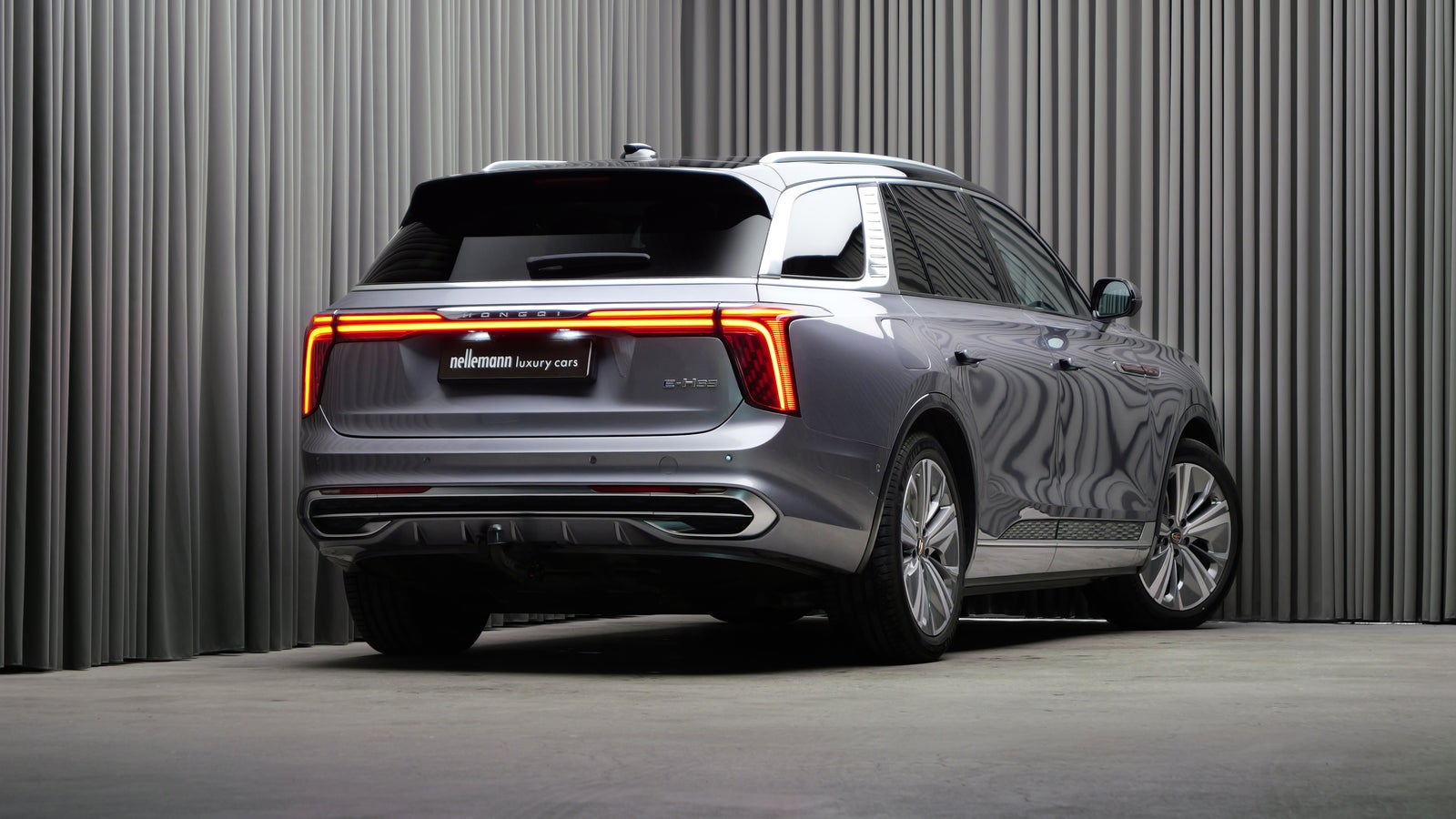 Hongqi E-HS9 Exclusive