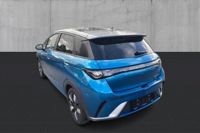 BYD Dolphin Design