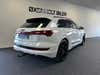 Audi e-tron Advanced quattro thumbnail