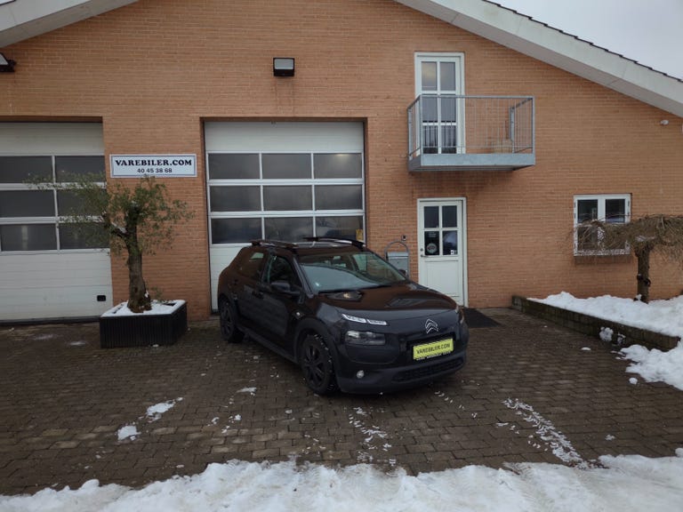 Citroën C4 Cactus BlueHDi 100 Feel Van