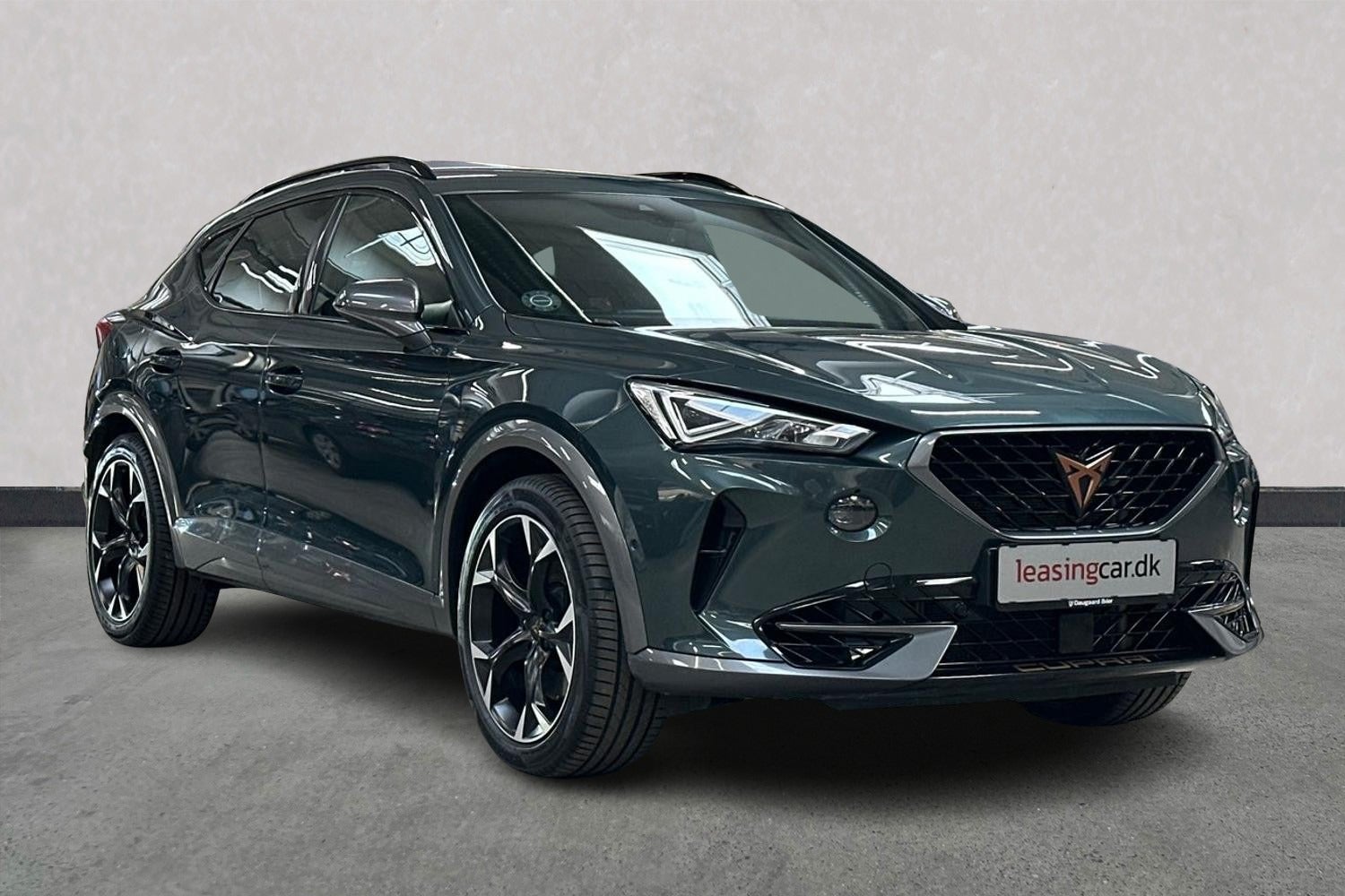 Billede af Seat Formentor 2,0 TSi 310 Cupra DSG 4Drive