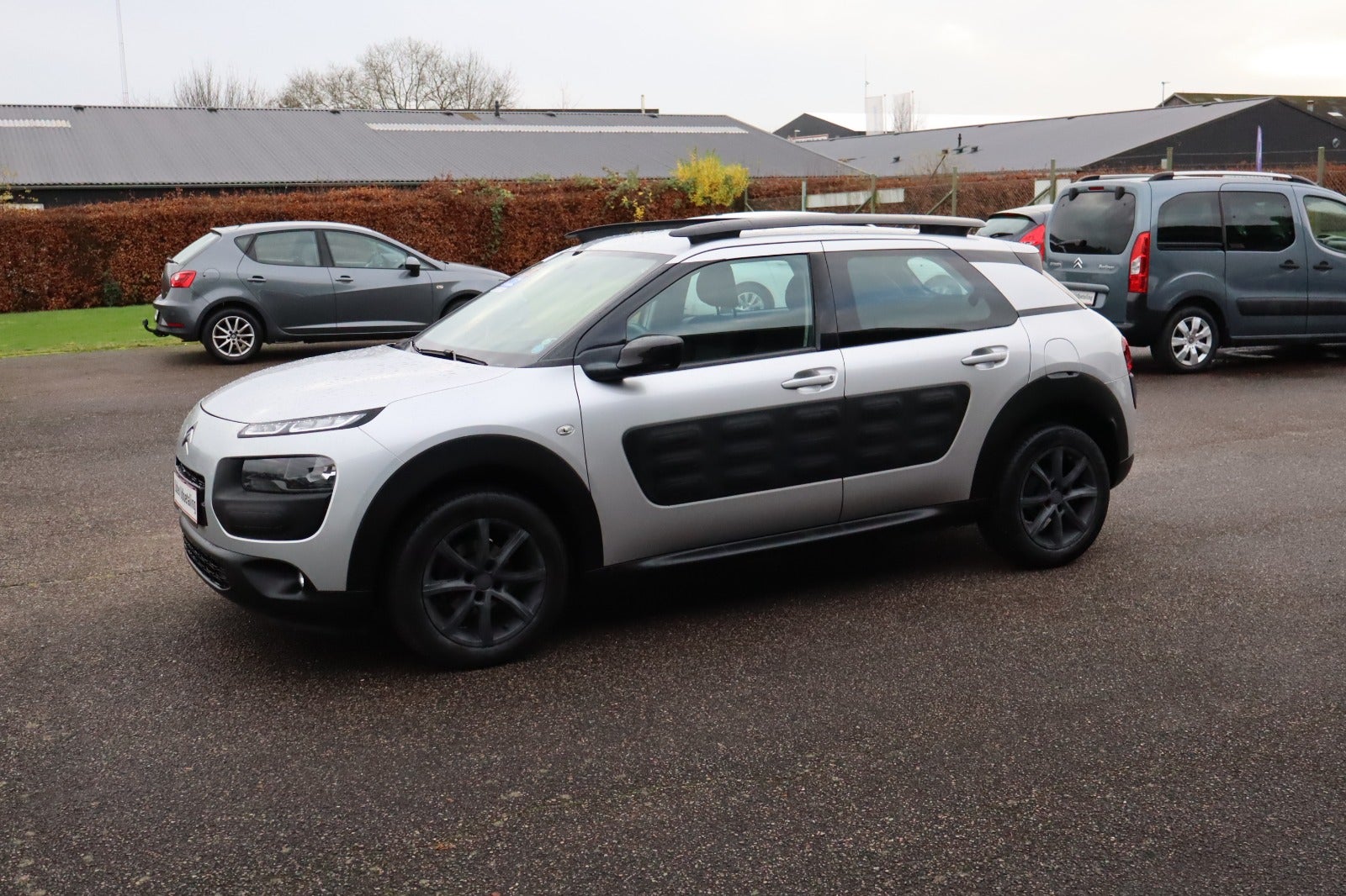 Billede af Citroën C4 Cactus 1,2 PureTech 110 Shine