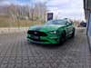 Ford Mustang V8 GT Fastback aut. thumbnail