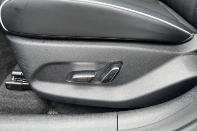BYD Dolphin Design