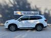 Subaru Forester e-Boxer Ridge L-tr. thumbnail