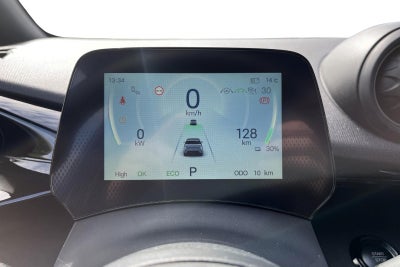 BYD Dolphin Design