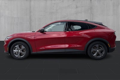 Ford Mustang Mach-E 70,0 Standard Range 2023