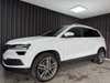 Skoda Karoq TSi 150 Style DSG thumbnail
