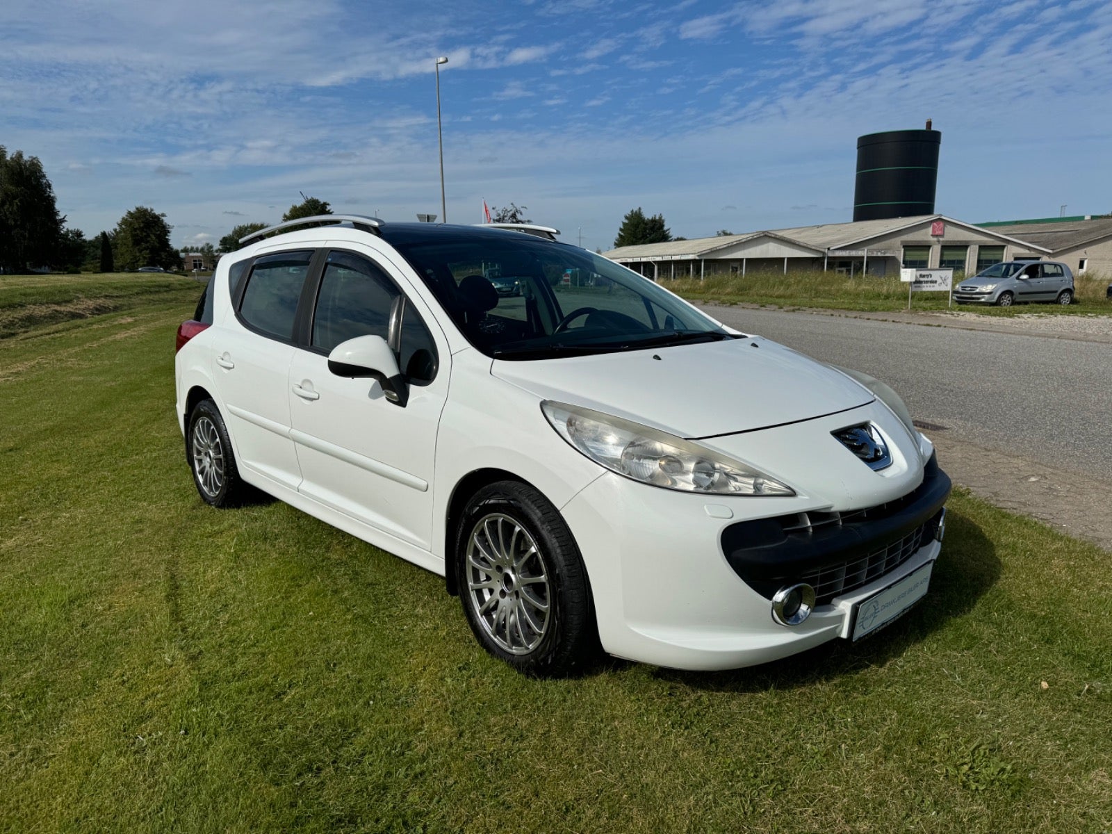 Peugeot 207 2009