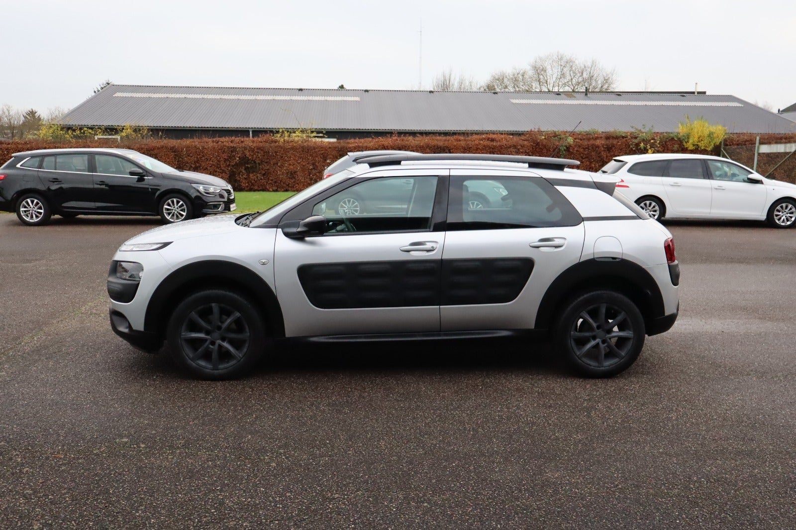 Billede af Citroën C4 Cactus 1,2 PureTech 110 Shine