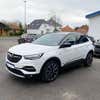 Opel Grandland X Hybrid4 Exclusive aut. thumbnail